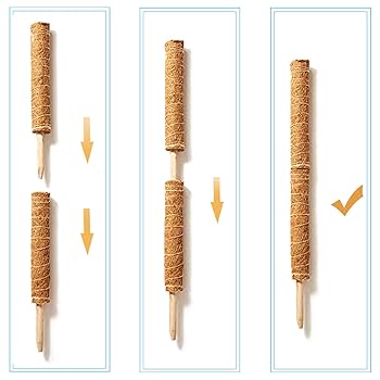 21-22 MOSS STICK 【WING PIN 59 】 WING PIN 59 – Moss Snowstick